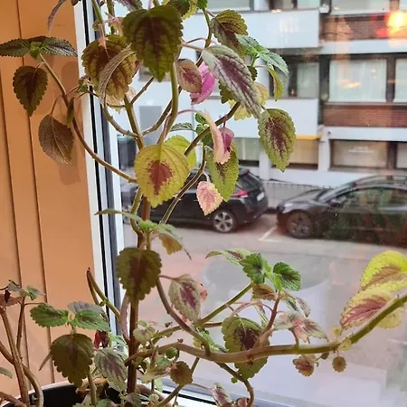 Smart Near Vigeland Park Apartment Oslo