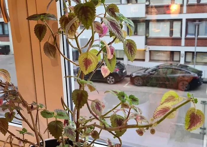 Smart Near Vigeland Park Apartment Oslo